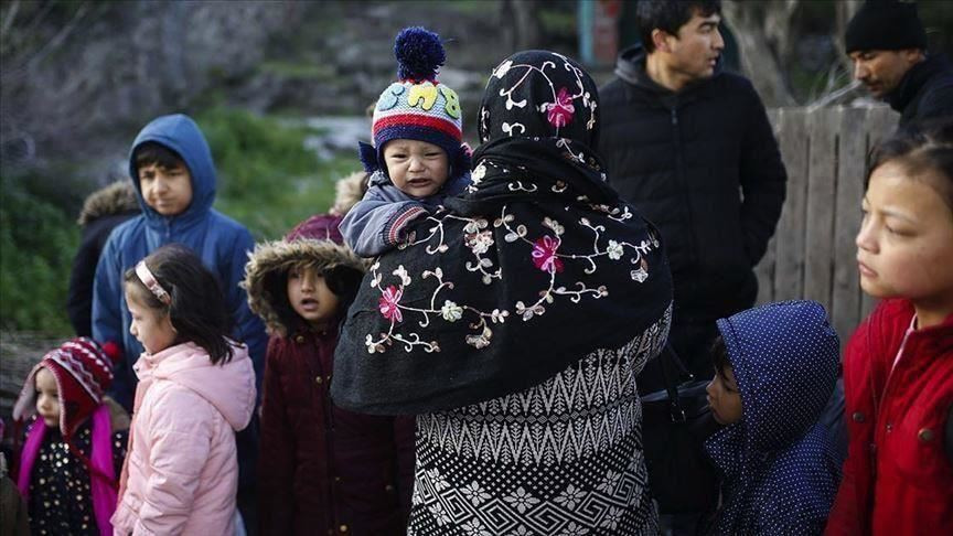 World now has nearly 80 million refugees: UN