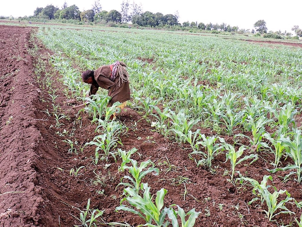 Somalia: 2.1 million people expected to face acute hunger