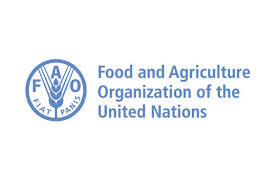 Somalia and FAO step up locust fight as hatching and hopper band formation continues in central area