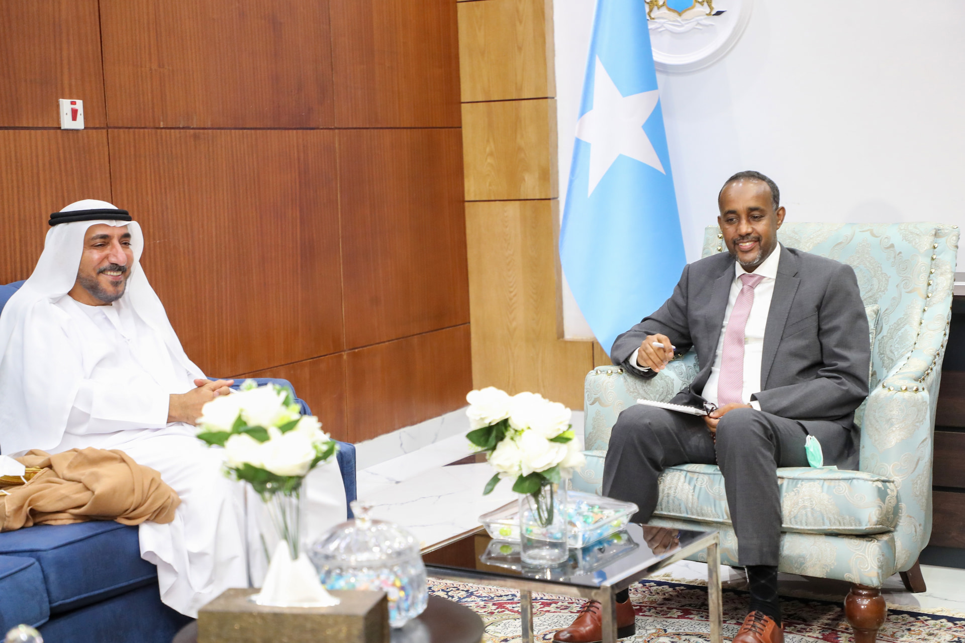 Somali PM receives UAE Ambassador