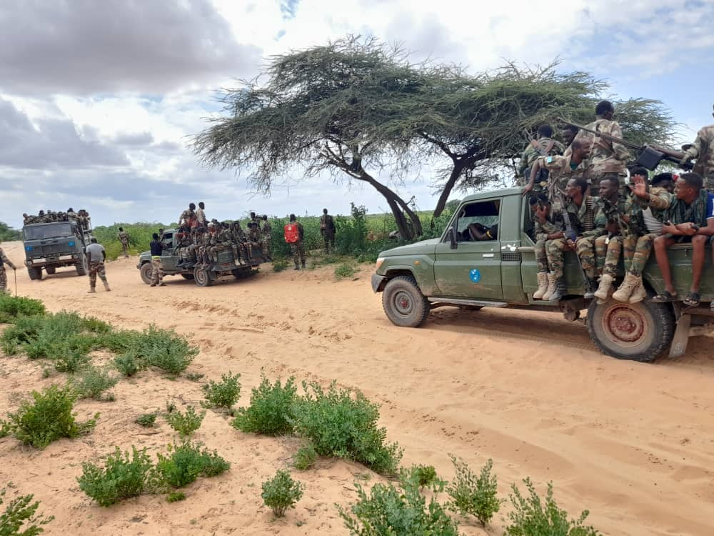 31 Al-Shabaab militants in operation