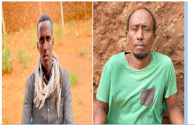 2 Senior Al-Shabaab operatives surrender to SNA