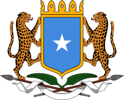 Somalia expresses concern  about the brutal acts on its citizens in South Africa