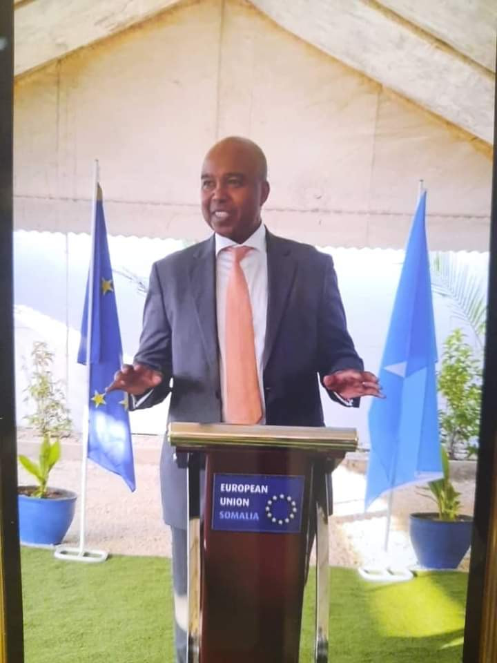 Somali Foreign Minister bids farewell to the outgoing EU Ambassador