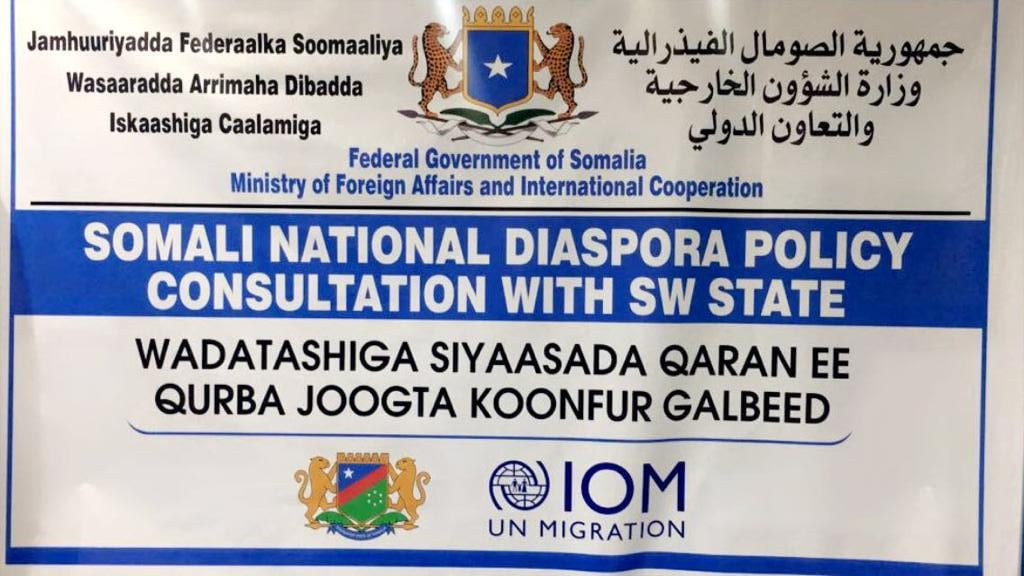 Foreign Minister commends consultations on Somali national diaspora Policy