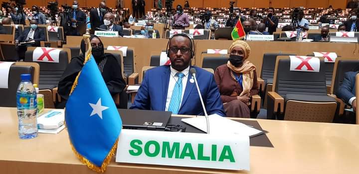 State Minister for Foreign Affairs calls for building an African food system capable of facing challenges