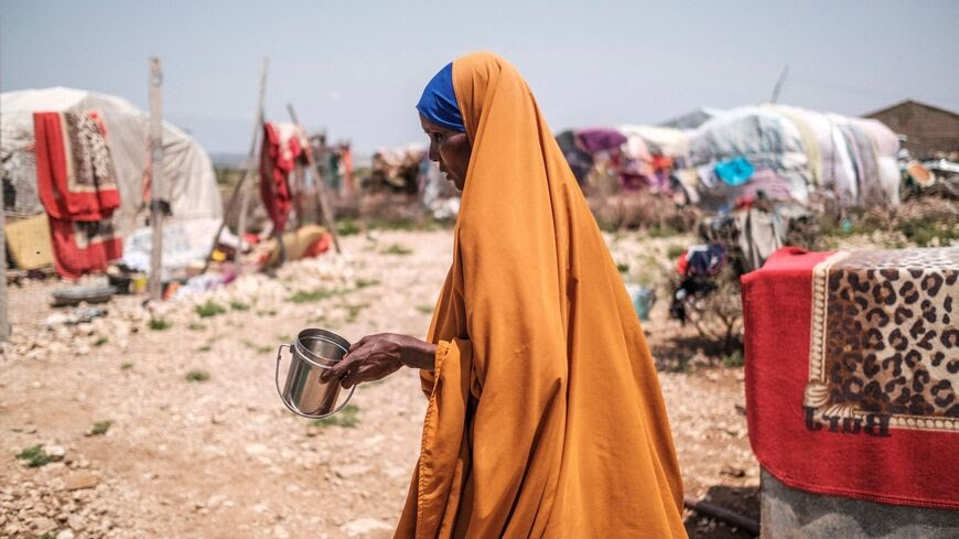 Egypt explores water projects with Somalia