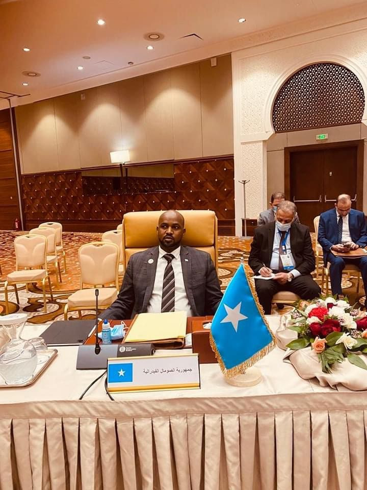 Somalia participates in Arab higher education ministers' conference