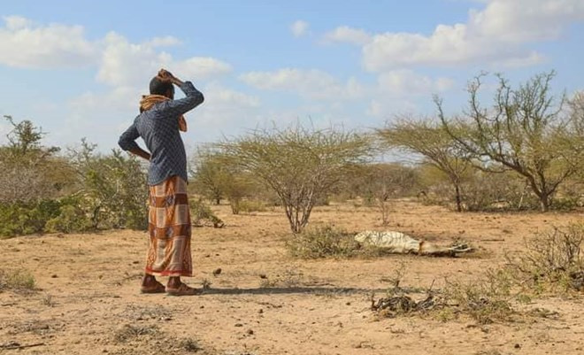 Severe droughts and water shortages were reported from the Hiran region