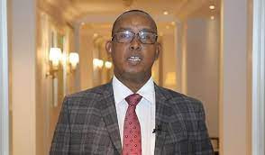 Government spokesman injured in suicide bomb attack in Mogadishu