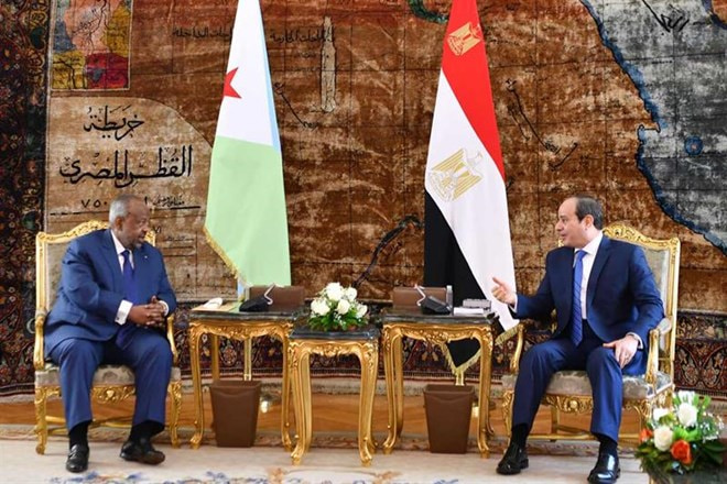 Egypt and Djibouti seek to "reinforce" bilateral relations