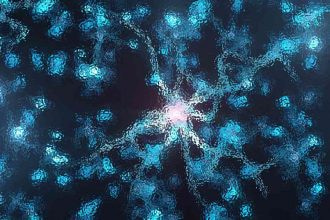 Brain Basics: The Life and Death of a Neuron