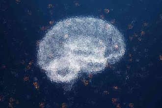 Astronomers Find Shell Structures in Milky Way Galaxy