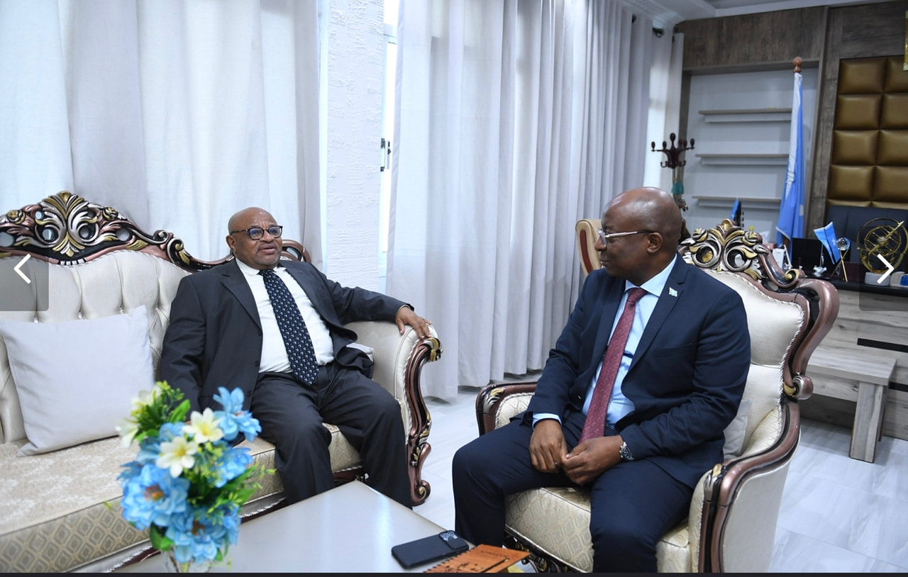 Minister of Information receives Special Representative of the AU