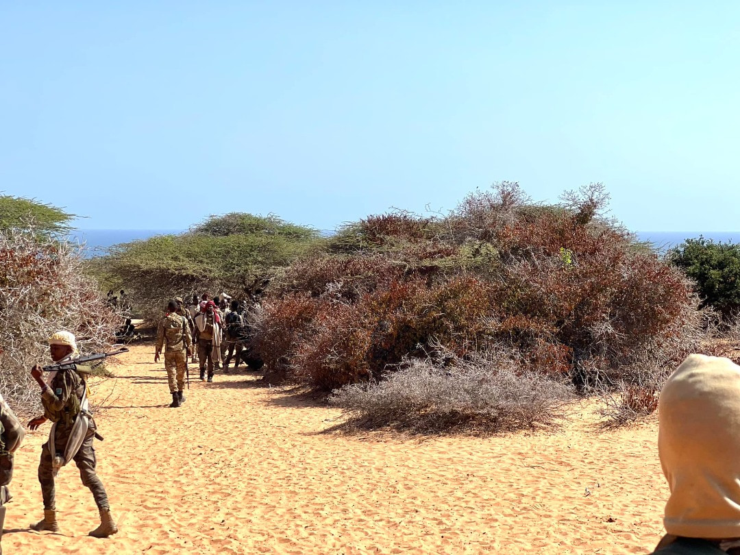 Somali National Army kills several Al-Shabaab militants