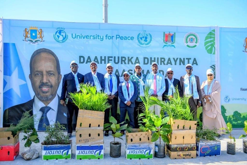 Ministry of Environment and Climate Change Begins the First Phase of Mogadishu Tree Planting