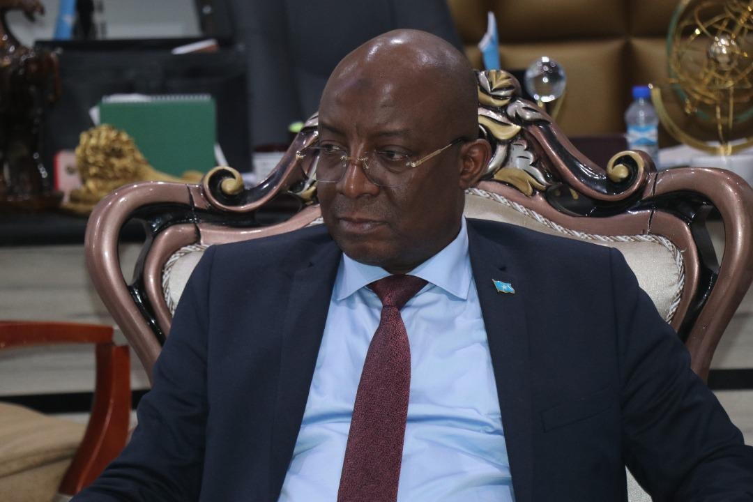 Minister of Information receives UNDP Representative to Somalia