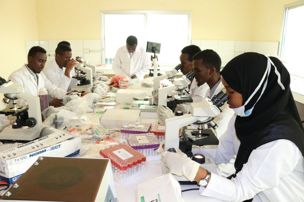 The Role of the Somali Diaspora in the Development of Somalia