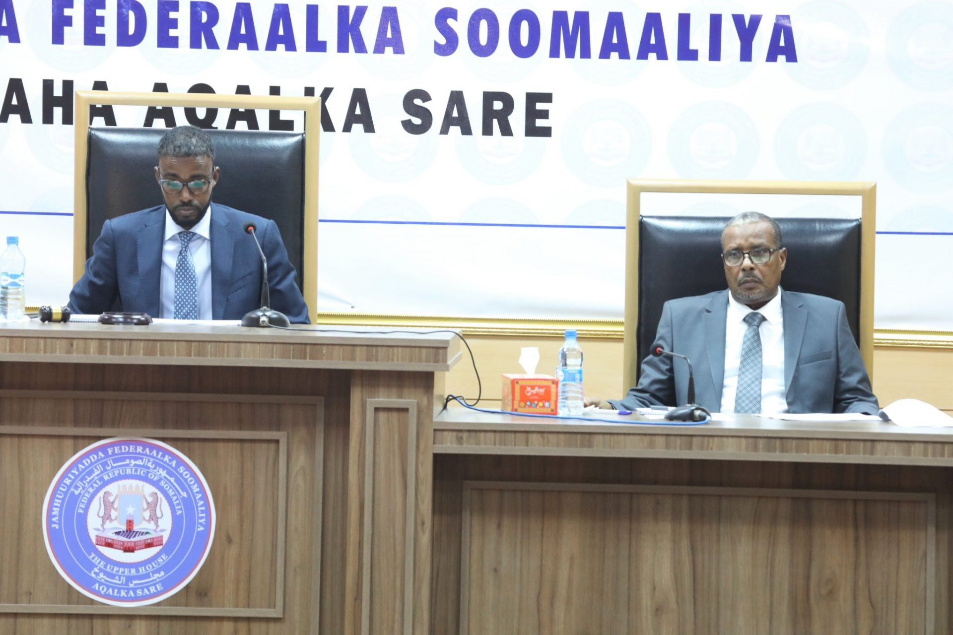 Somalia's Senate approves act for National Security and Intelligence Agency