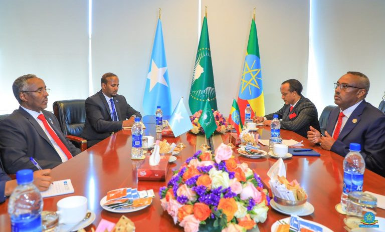 Somali Foreign Minister meets Ethiopian Deputy PM in Addis Ababa