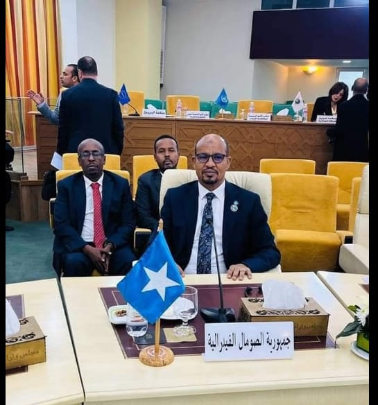 State Minister Mohamed Ali Hagaa attends Arab League conference in Tunisia