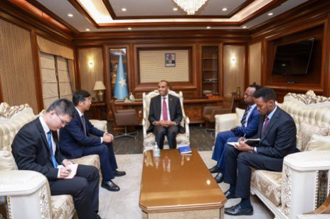 Somalia and China Discuss Strengthening Ties