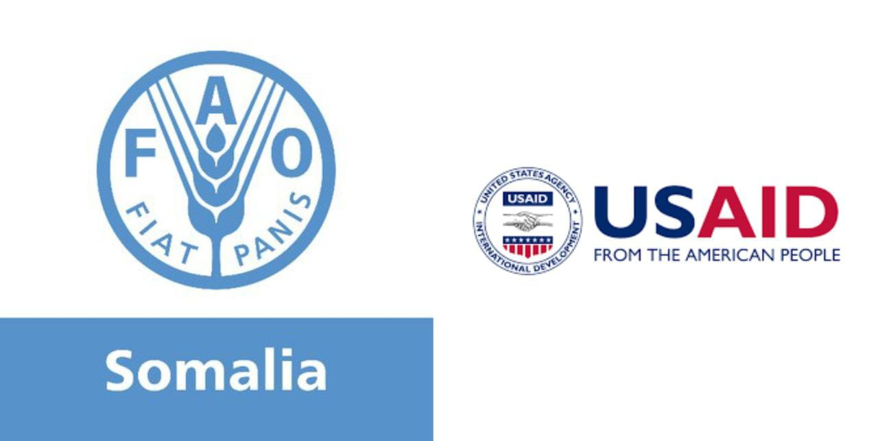 FAO and USAID launch flagship initiative to increase climate resilience among rural communities in southern Somalia