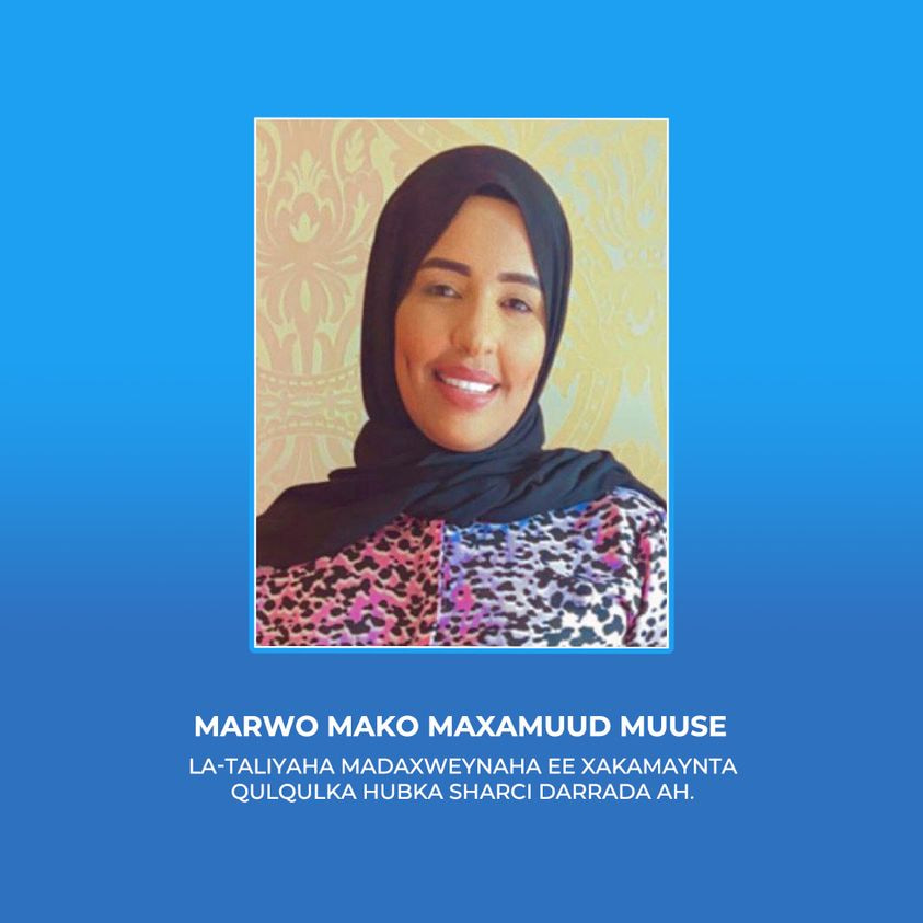 Somali President appoints new Adviser on Controlling the Flow of Illegal Arms
