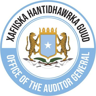 Auditor General's Report Uncovers Extensive Financial Mismanagement in Somali Government Institutions