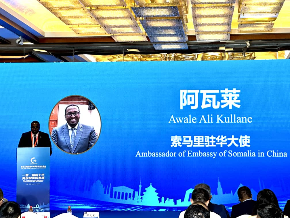 Somali Ambassador Highlights Economic Cooperation at the 13th China International Fair for Investment and Trade