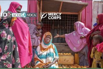 THE ROLE OF SOCIAL CONNECTIONS IN COPING WITH THE CURRENT DROUGHT IN SOMALIA