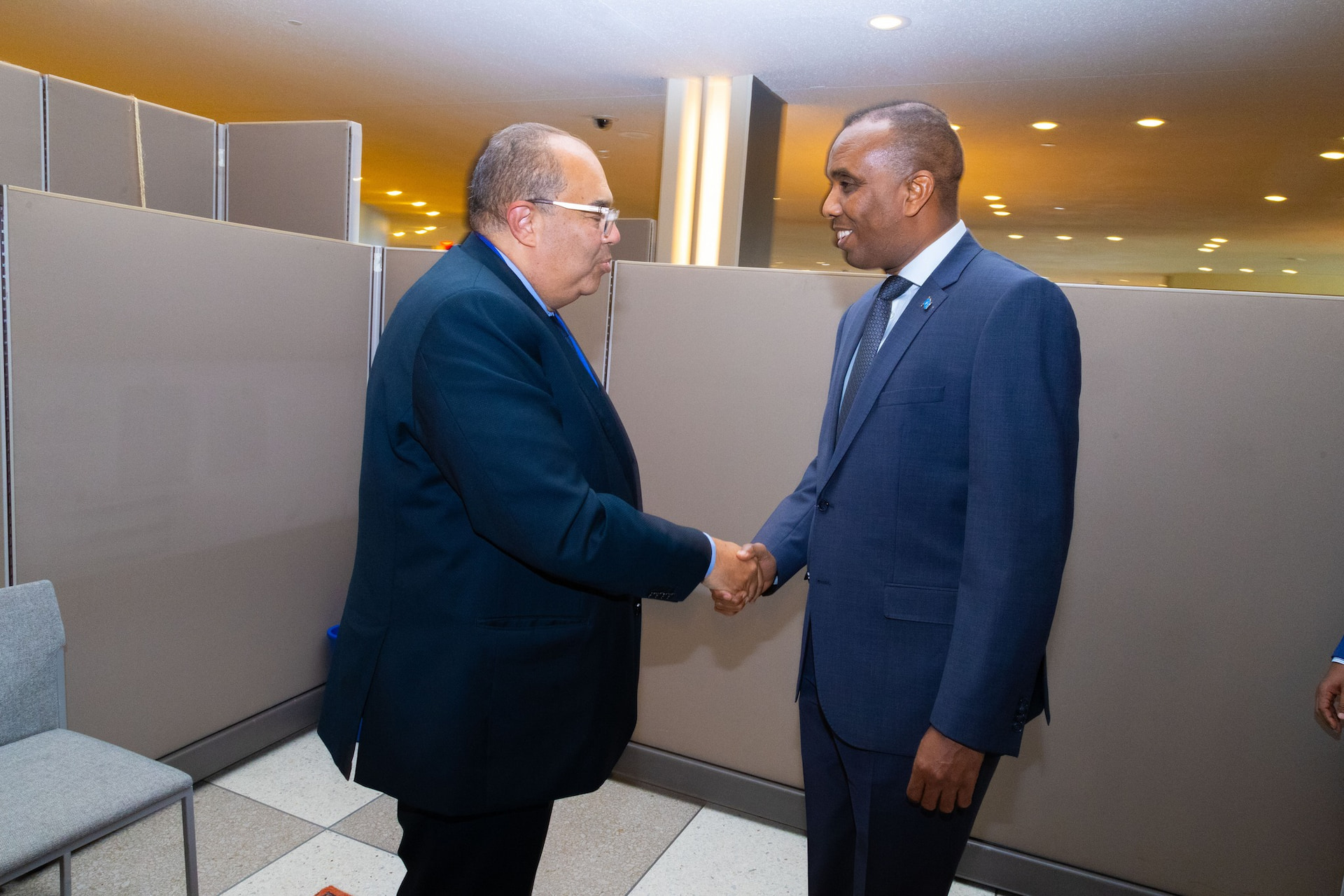 Prime Minister Hamza meets IMF Executive Director in New York