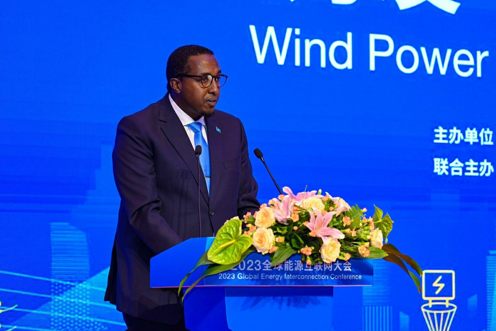 Somalia’s wind energy potential showcased at global conference