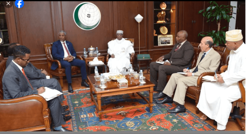 Somali Foreign Minister meets OIC Secretary General in Jeddah