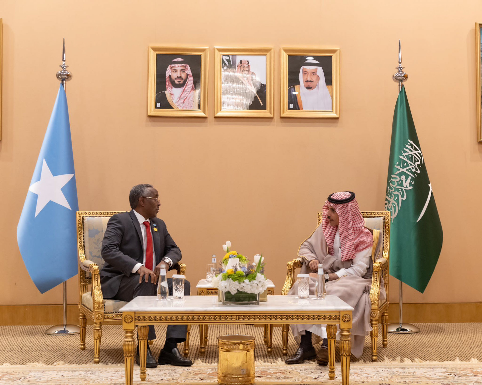Somalia and Saudi Arabia Forge Closer Ties with New Cooperation Agreement