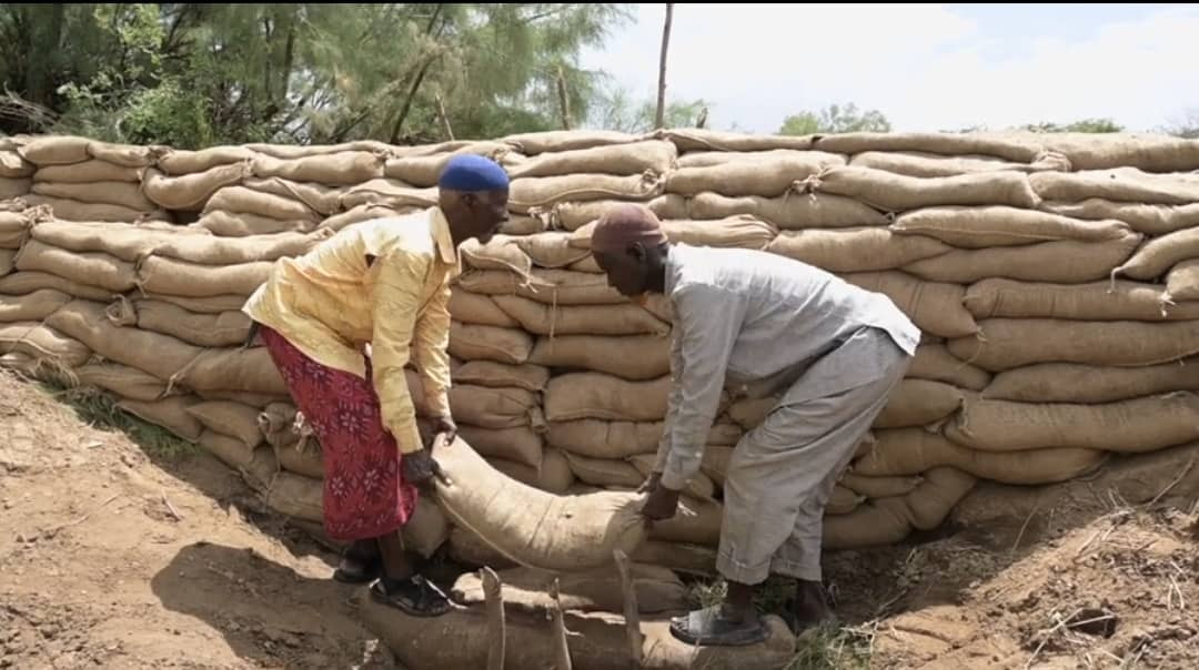 Farmers fight fears of El Nino floods; ICRC delivers 75,000 sandbags