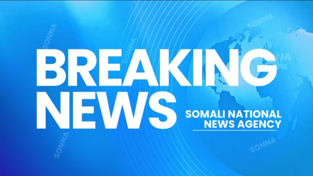 Somali forces kill Khawarij leaders and militants in joint operations