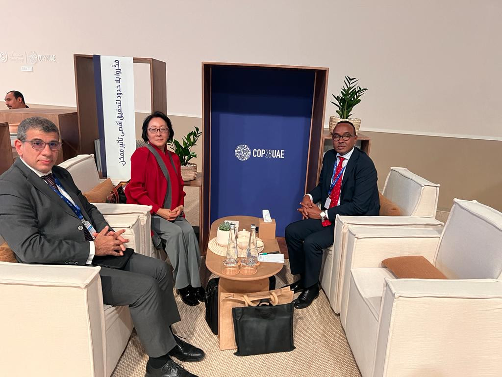 Somalia and UNDRR strengthen partnership on disaster risk reduction at COP28