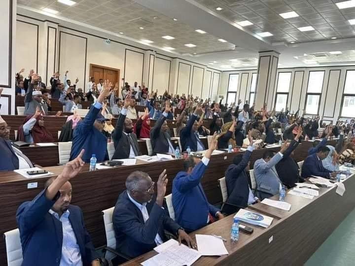 Somalia's parliament takes a step towards constitutional reform