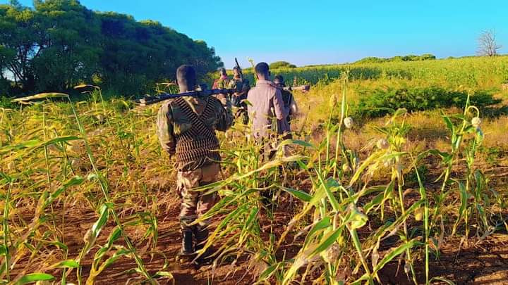 Somali National Army conducts operations in Bay region