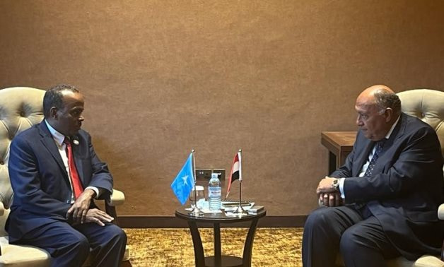 Egypt expresses solidarity with Somalia against attempts to breach its sovereignty