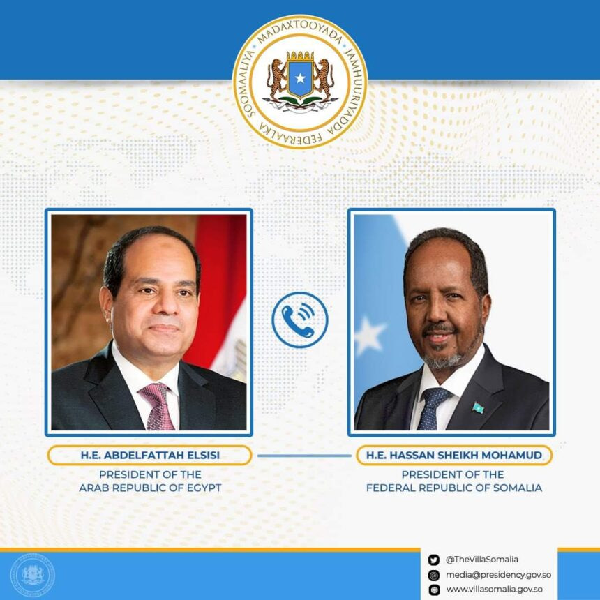 Somalia and Egypt pledge to boost cooperation amid regional turmoil