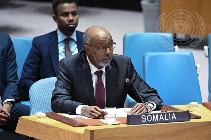 Somalia’s Ambassador to the UN delivers speech at the UN Security Council meeting