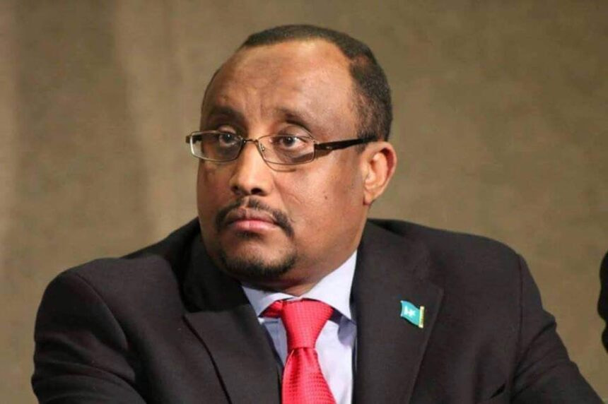 Former Somali PM backs defense deal with Turkey