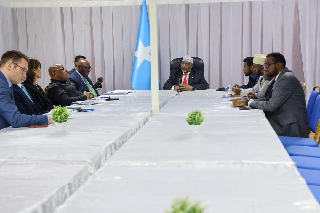 Speaker of the Parliament meets UN delegation in Mogadishu