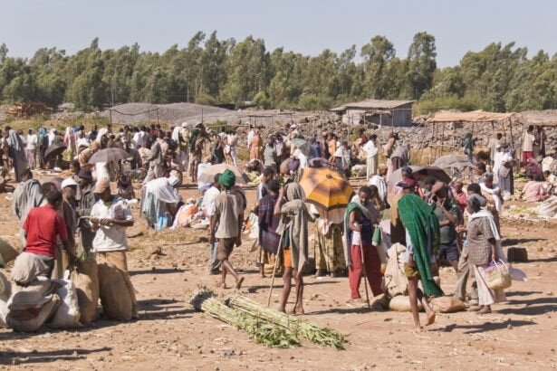 Fano Militia Claims Victory in Bahir Dar, Challenges Ethiopian Government