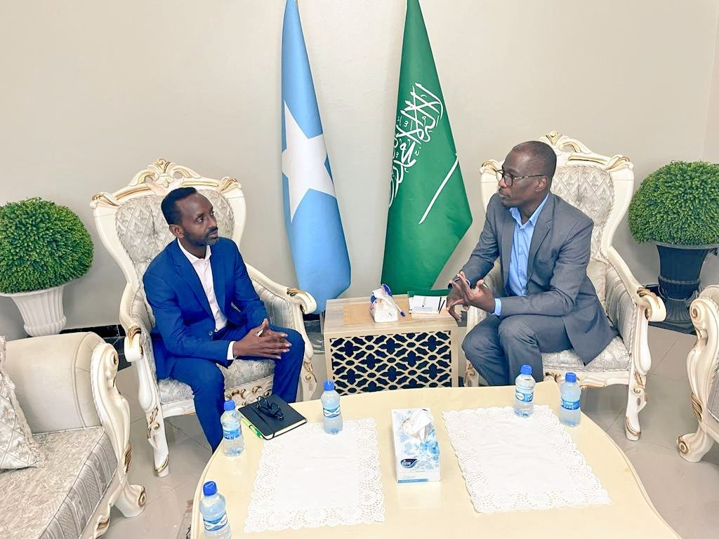 Special Presidential Envoy meets Ambassador of Saudi Arabia