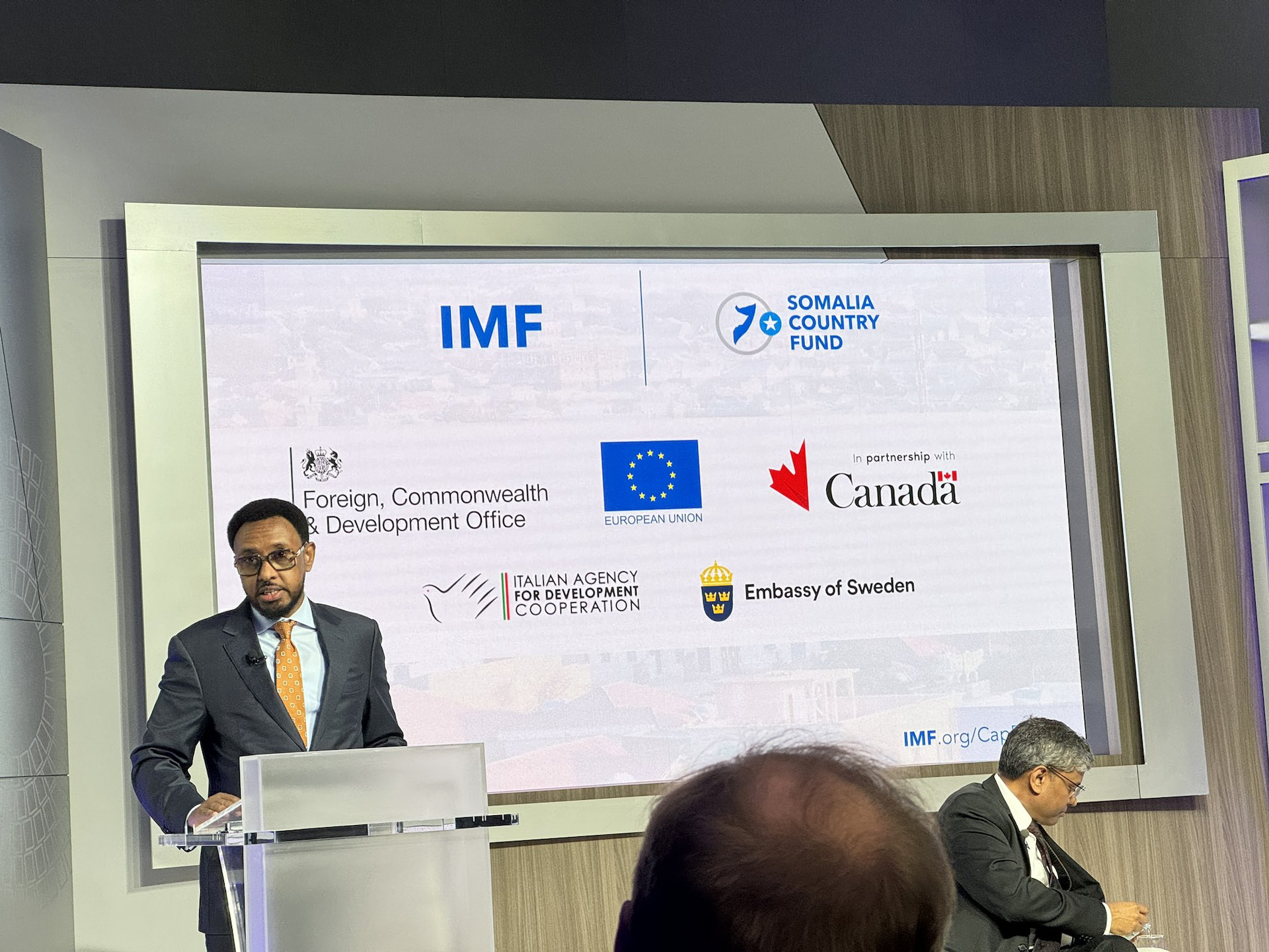 Tailored IMF Assistance Crucial for Somalia's Debt Relief, Says Finance Minister