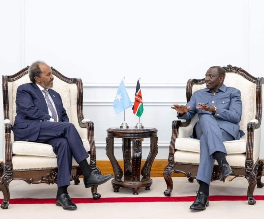 Presidents of Somalia and Kenya Convene to Fortify Border Security and Counter-Terrorism Efforts