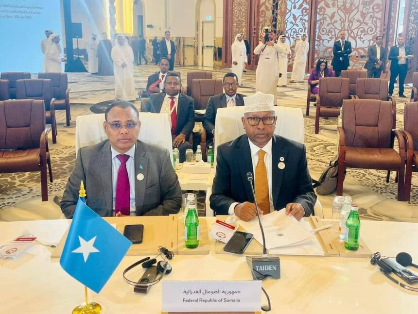 Somali Ministers Attend Arab Economic Forum in Doha